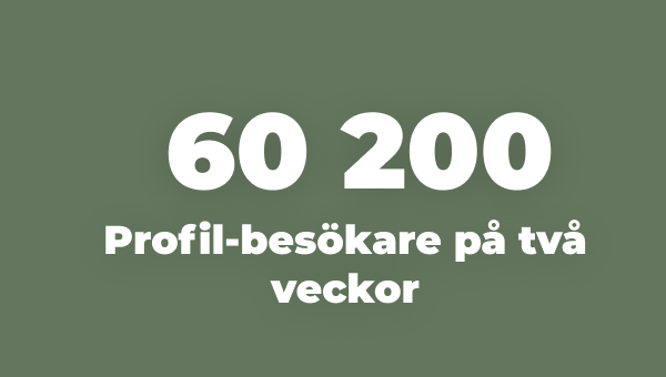 204 000 profilbesökare på en månad!